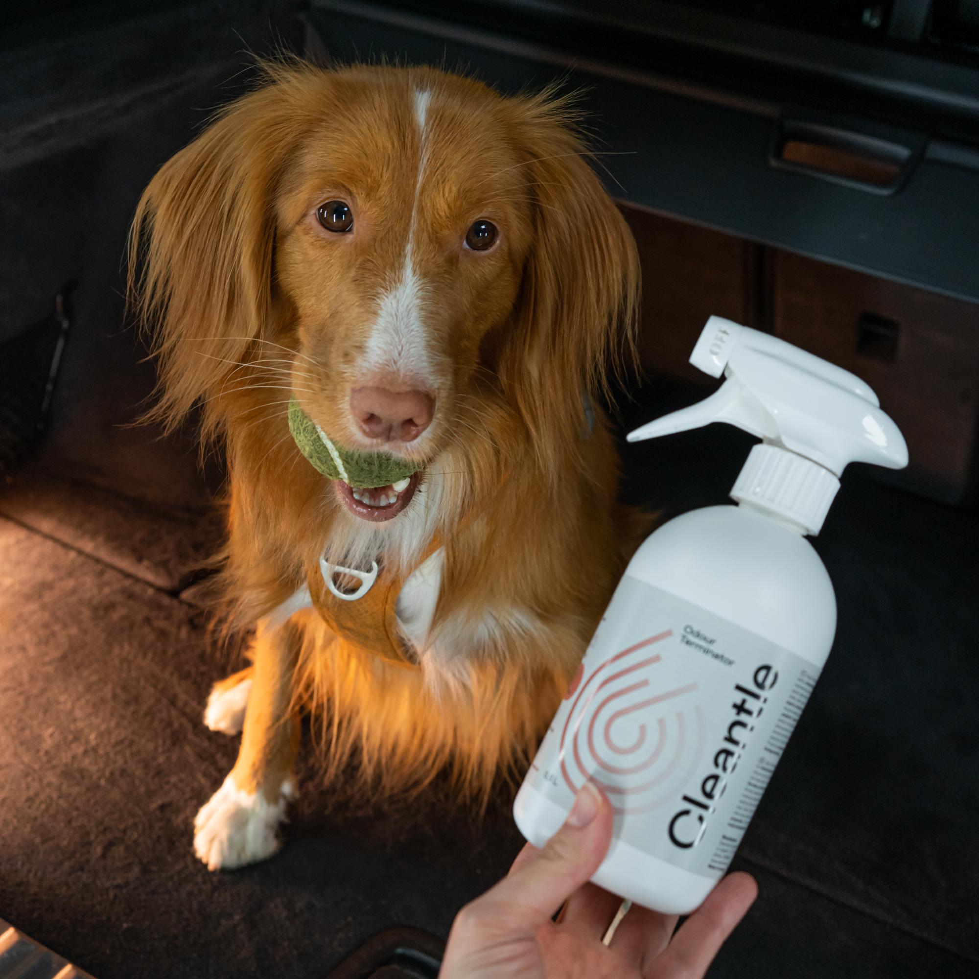 Neutralizator zapachów do samochodu Odour Terminator